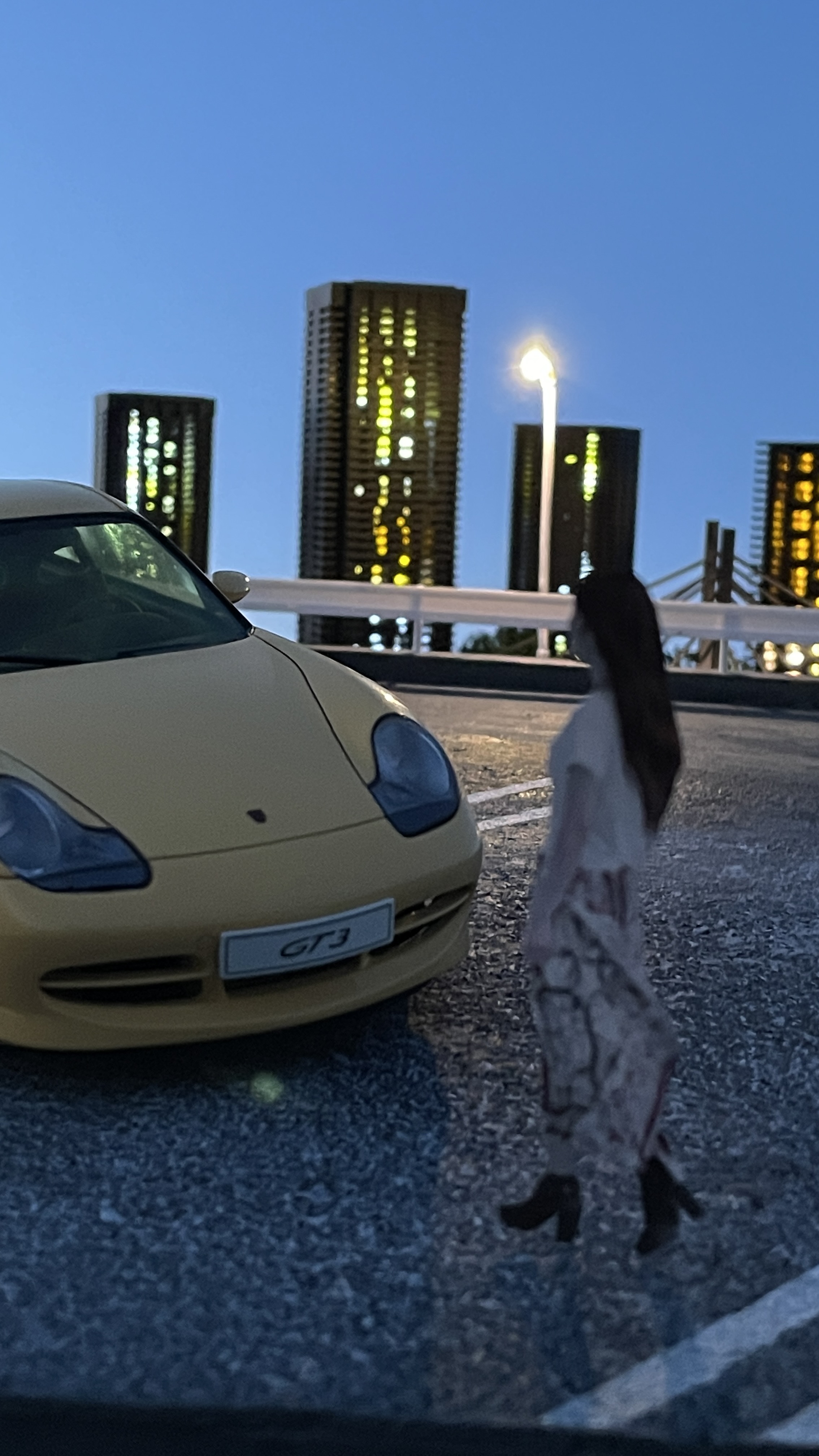 写真の説明を入れます